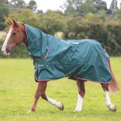 Typhoon Lite Combo Turnout Rug