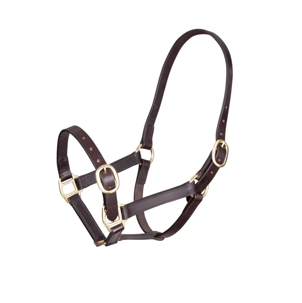 Velociti GARA Adjustable Leather Headcollar