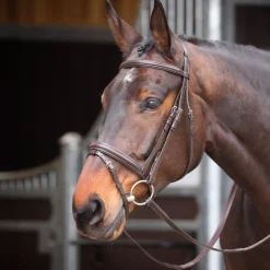 Velociti GARA Comfort Fit Bridle