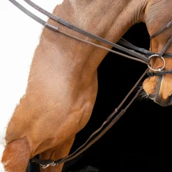 Velociti GARA Elasticated Draw Reins