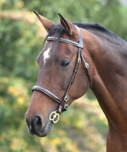 Velociti GARA Fancy Stitched Inhand Bridle