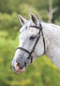 Velociti GARA Fancy Stitched Inhand Bridle