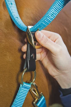 Velociti GARA Headcollar Breakaway Attachment