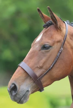 Velociti GARA Hunter Cavesson Noseband