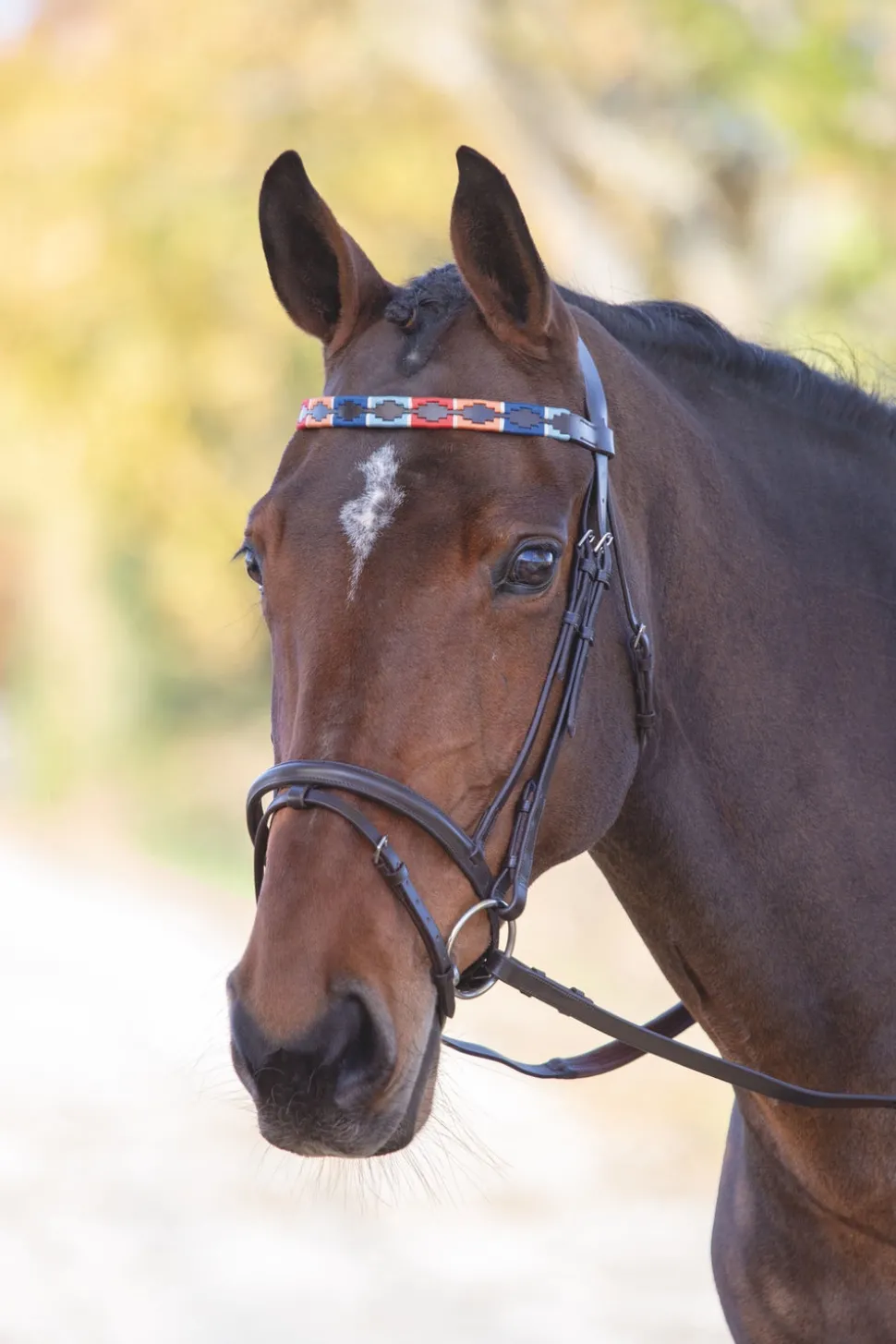 Velociti GARA Leather Polo Browband