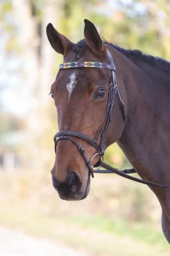 Velociti GARA Leather Polo Browband