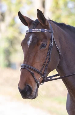Velociti GARA Leather Polo Browband