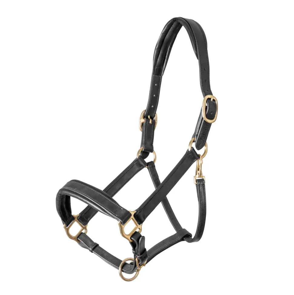 Velociti GARA Leather Travel Headcollar