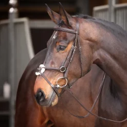 Velociti GARA Mexican Bridle
