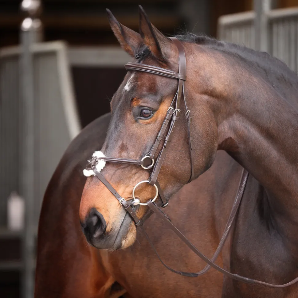 Velociti GARA Mexican Bridle