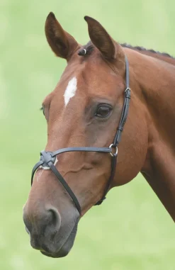 Velociti GARA Mexican Noseband