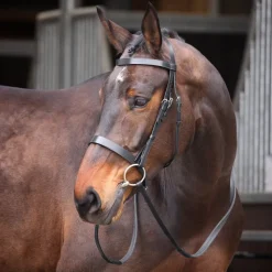 Velociti GARA Plain Bridle