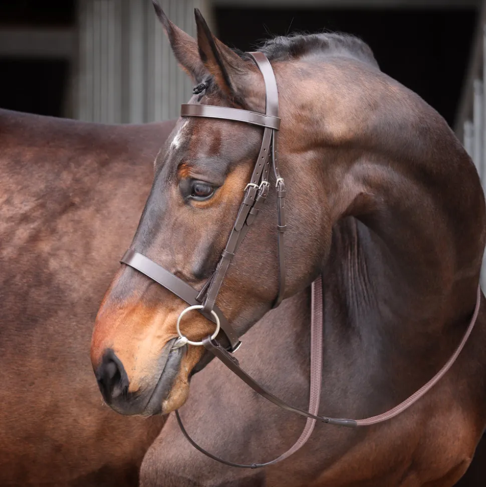 Velociti GARA Plain Bridle