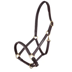 Velociti GARA Ragley Lined Leather Headcollar