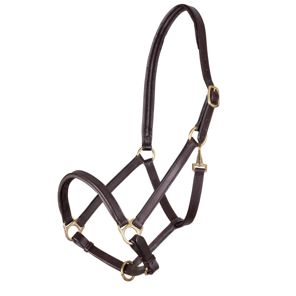 Velociti GARA Ragley Lined Leather Headcollar