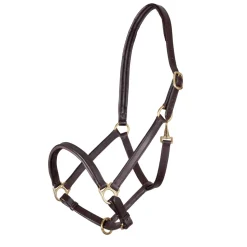 Velociti GARA Ragley Lined Leather Headcollar