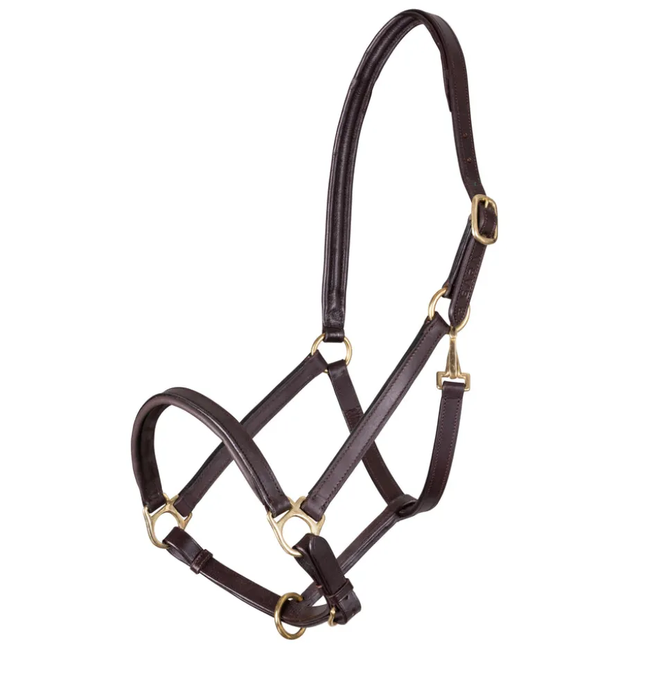 Velociti GARA Ragley Lined Leather Headcollar