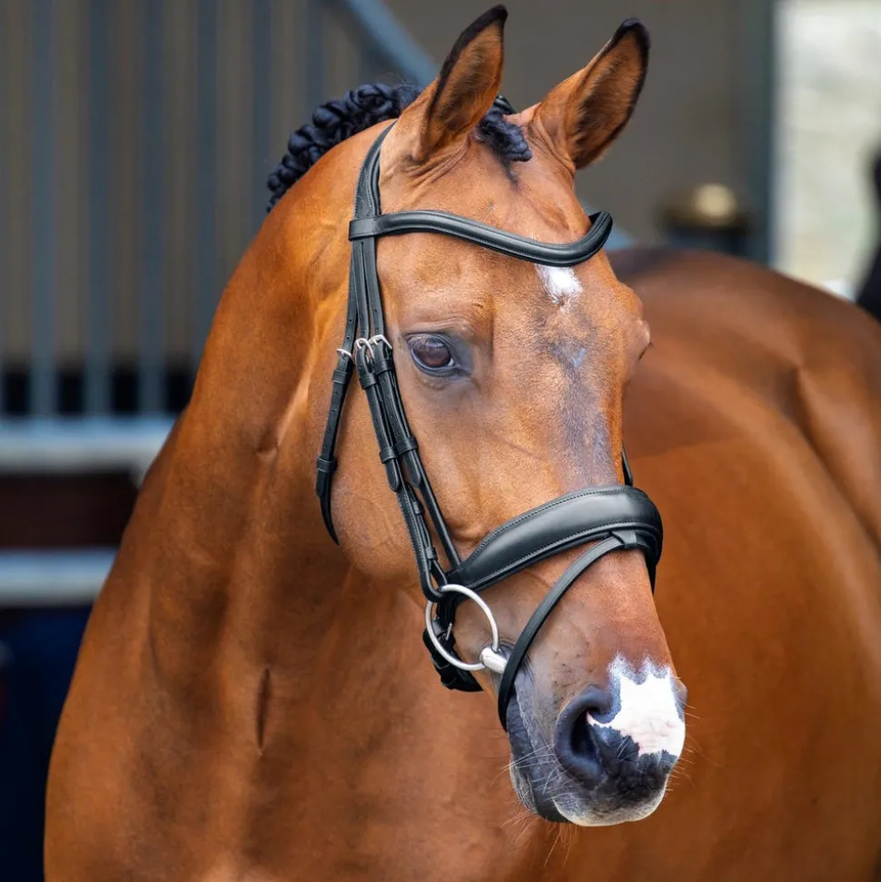 Velociti Lusso Dressage Flash Bridle