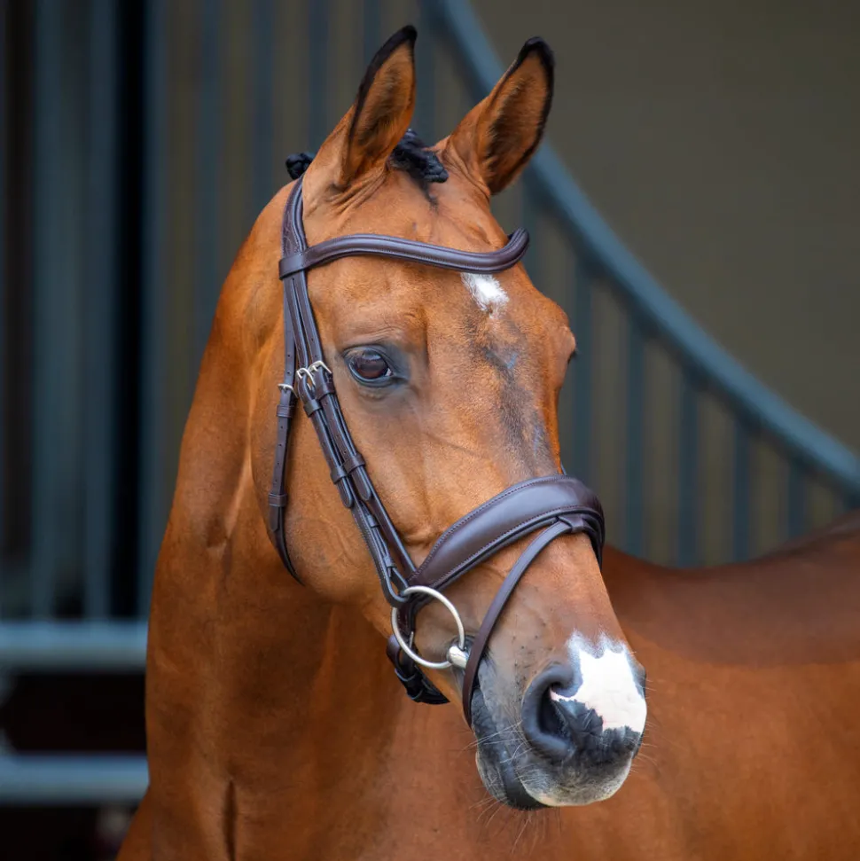 Velociti Lusso Dressage Flash Bridle