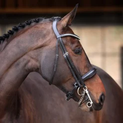 Velociti Lusso Elite Double Bridle