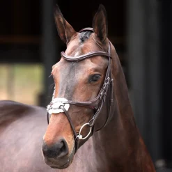 Velociti Lusso Elite Grackle Bridle