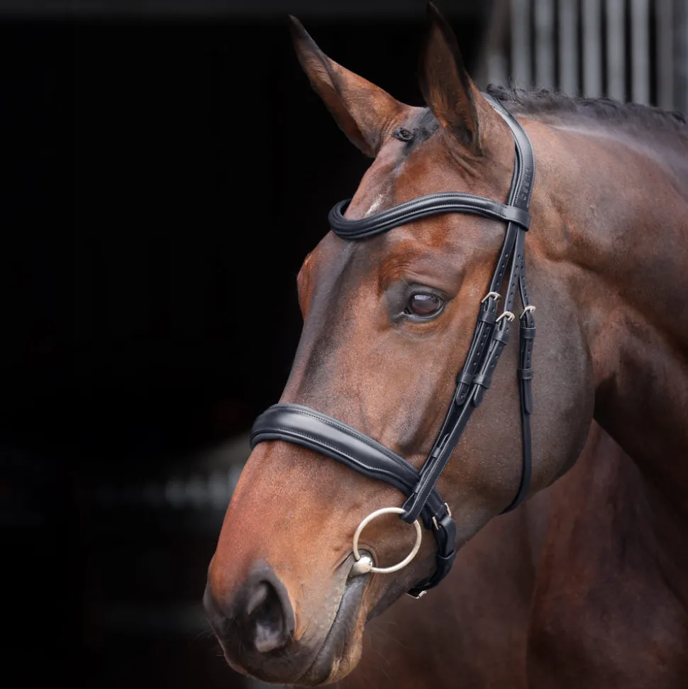 Velociti Lusso Elite Padded Cavesson Bridle