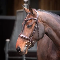 Velociti Lusso Elite Padded Cavesson Bridle