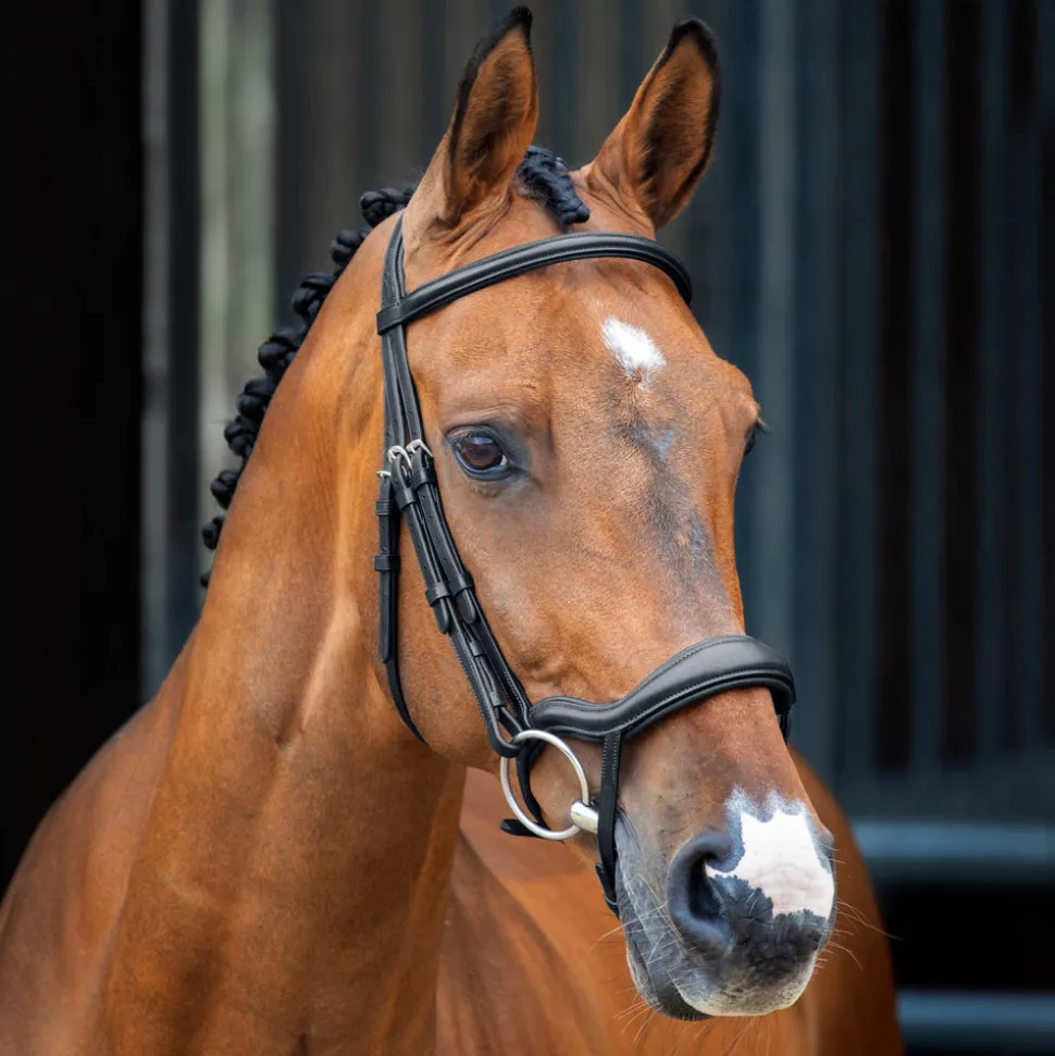 Velociti Lusso Ergonomic Flash Bridle