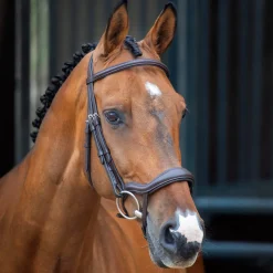 Velociti Lusso Ergonomic Flash Bridle