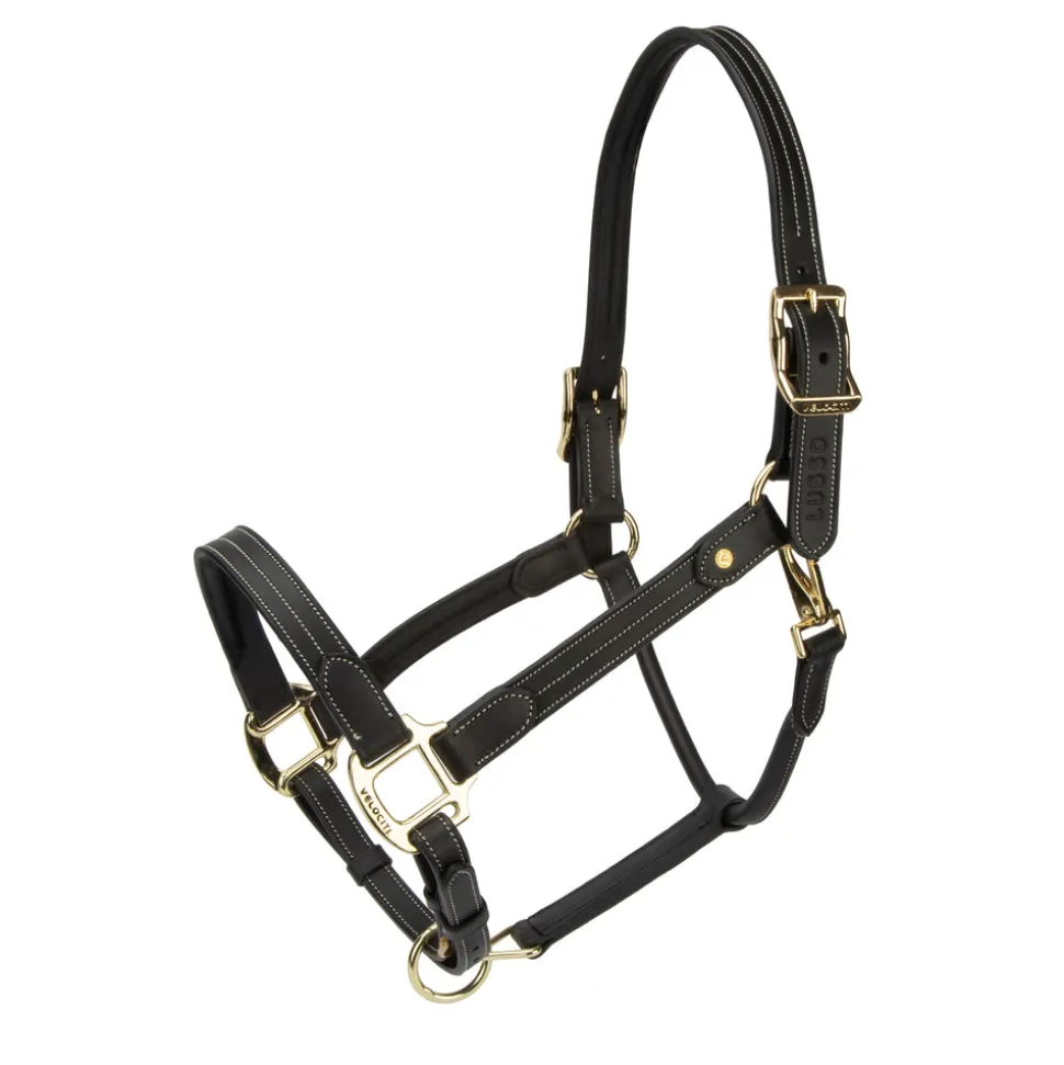 Velociti Lusso Girona Leather Headcollar