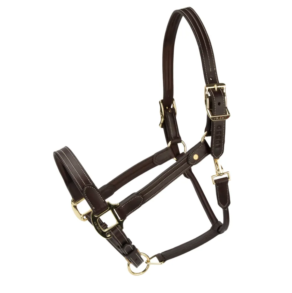 Velociti Lusso Girona Leather Headcollar
