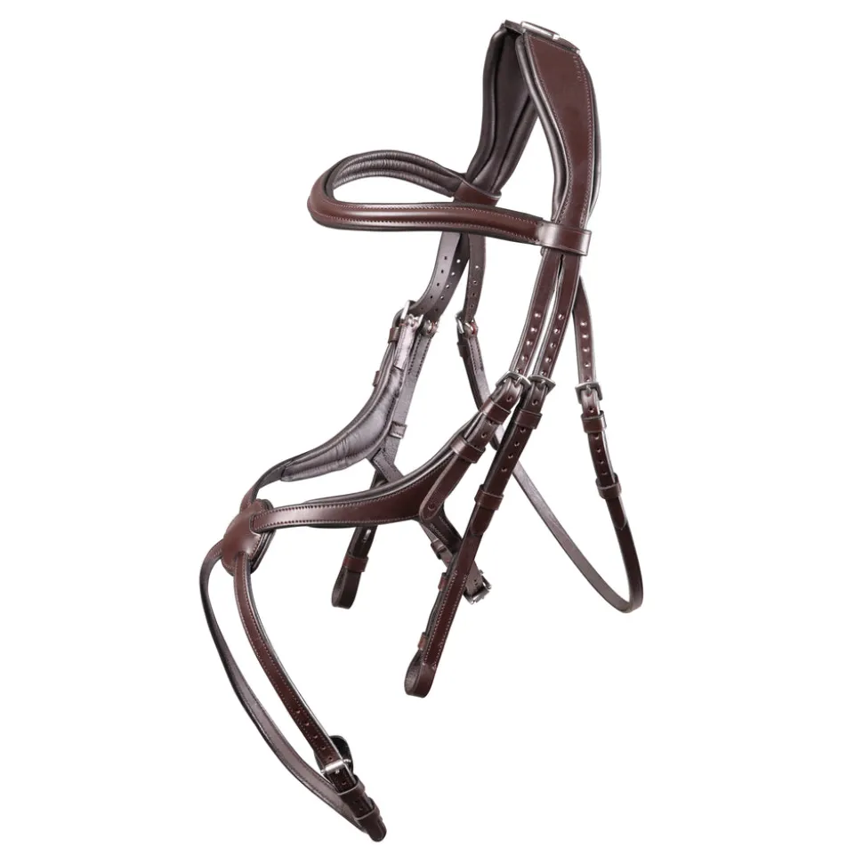 Velociti Lusso Grackle Bridle