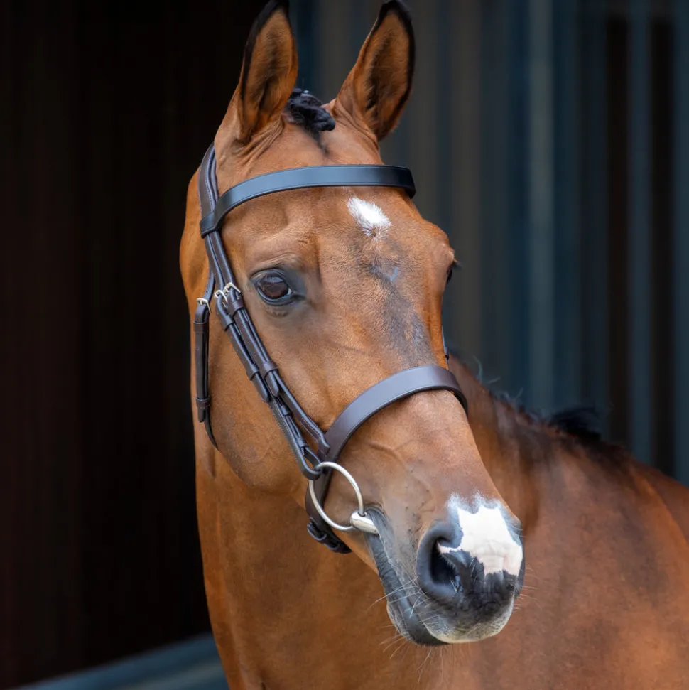 Velociti Lusso Hunter Cavesson Bridle