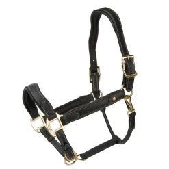 Velociti Lusso Lorca Leather Headcollar