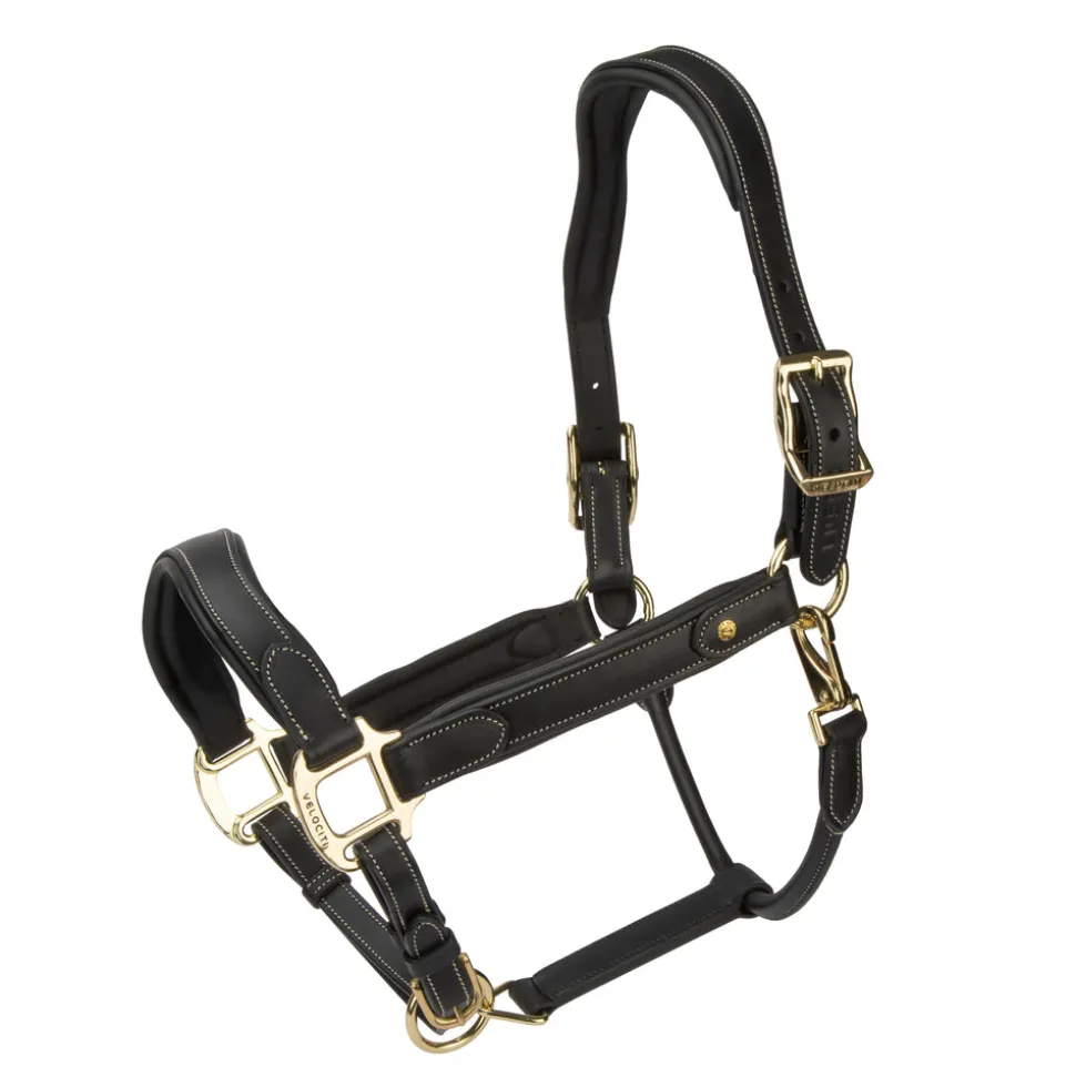 Velociti Lusso Lorca Leather Headcollar