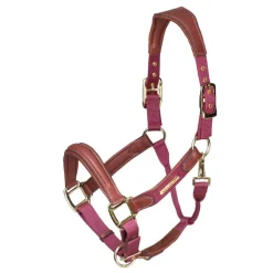 Velociti Lusso Padded Leather Headcollar