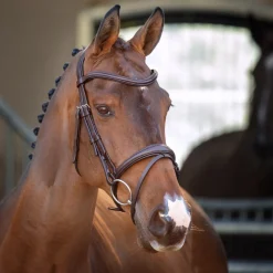 Velociti Lusso Padded Raised Flash Bridle