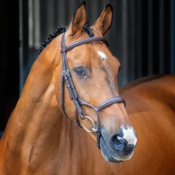 Velociti Lusso Rolled Padded Cavesson Bridle