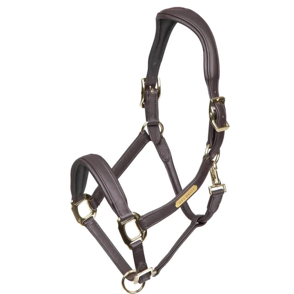 Velociti RAPIDA Comfort Leather Headcollar