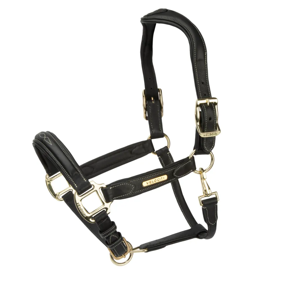 Velociti RAPIDA Comfort Leather Headcollar