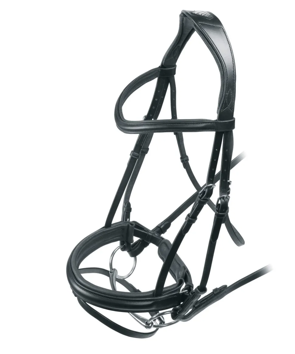 Velociti RAPIDA Dressage Bridle with Flash