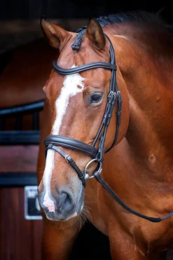 Velociti RAPIDA Dressage Bridle with Flash