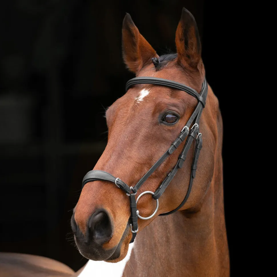Velociti RAPIDA Drop Noseband Bridle