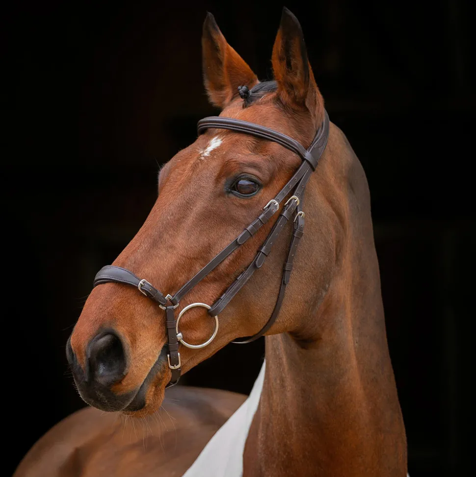 Velociti RAPIDA Drop Noseband Bridle