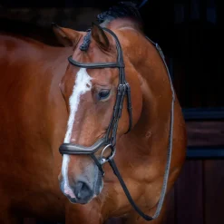 Velociti RAPIDA Ergonomic Flash Bridle