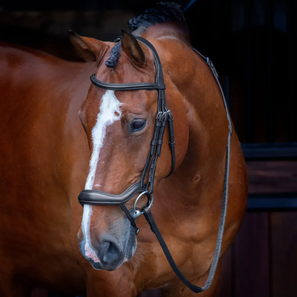 Velociti RAPIDA Ergonomic Flash Bridle