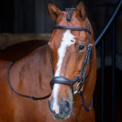 Velociti RAPIDA Ergonomic Flash Bridle