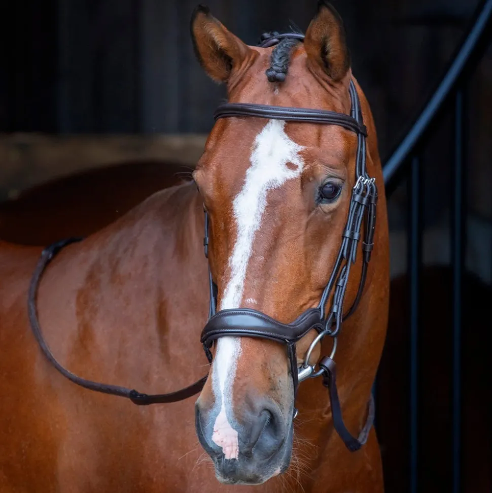 Velociti RAPIDA Ergonomic Flash Bridle