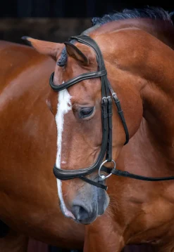 Velociti RAPIDA Ergonomic Curved Flash Bridle