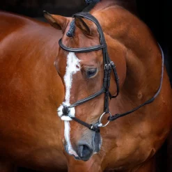Velociti RAPIDA Grackle Bridle